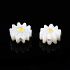 Natural Freshwater Shell Beads SHEL-N003-20A-01-3
