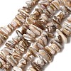Natural Freshwater Shell Beads Strands SHEL-A006-05-1
