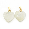 Natural Trochid Shell/Trochus Shell Pendants SSHEL-K027-12-1