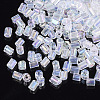 6/0 Two Cut Glass Seed Beads SEED-S033-13B-01-2