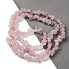 Natural Rose Quartz Beads Strands G-O049-B-36-7