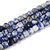 Natural Blue Spot Jasper Beads Strands G-N342-113-1