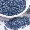 MIYUKI Round Rocailles Beads X-SEED-G007-RR0648-1