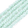 Opaque Glass Beads Strands GLAA-N019-3mm-14-1