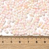 Two Tone Baking Paint Glass Seed Beads SEED-F005-01A-02-4