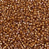 MIYUKI Delica Beads SEED-J020-DB1734-3