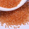 MIYUKI Delica Beads SEED-X0054-DB1887-1