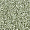 MIYUKI Delica Beads SEED-J020-DB1765-3