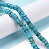 Shell Beads Strands SSHEL-E571-49J-2