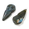 Natural Labradorite Carved Cabochons G-C152-10-2