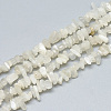 Natural White Moonstone Beads Strands G-S315-34-1