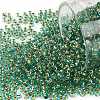 TOHO Round Beads X-SEED-TR11-0755-1