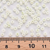 8/0 Opaque Glass Seed Beads X1-SEED-S048-N-010-4