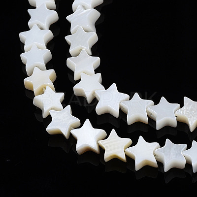 Natural Freshwater Shell Beads Strands LS-SHEL-S278-01A-01-1