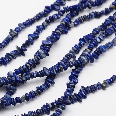 Chips Natural Lapis Lazuli Beads Strands G-N0164-46-1