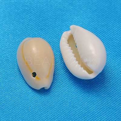 Natural Cowrie Shell Beads X-BSHE-S055-1