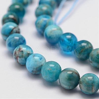 Natural Apatite Beads Strands G-D856-01-6.5mm-1