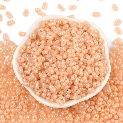Baking Paint Glass Seed Beads SEED-L011-09A-12-1