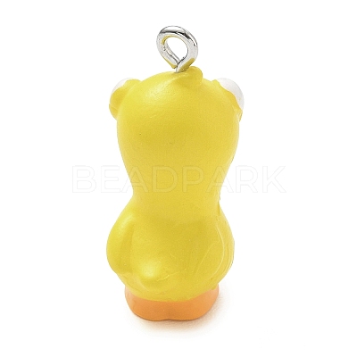 Opaque Resin Pendants RE-CBAB12C-07-1