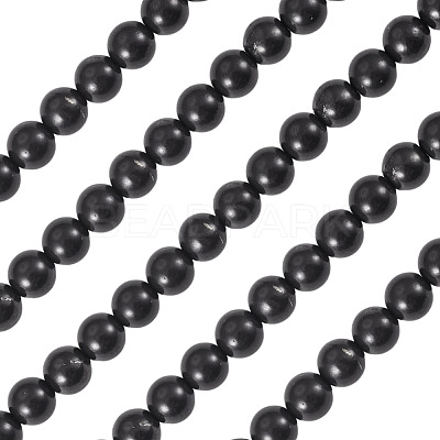 1 Strand Natural Shungite Beads Strands G-TA0003-34B-1