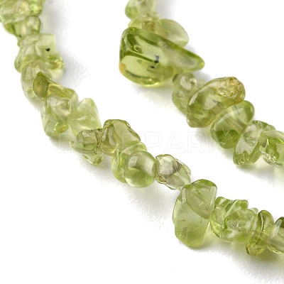 Natural Peridot Beads Strands G-G0003-B27-1