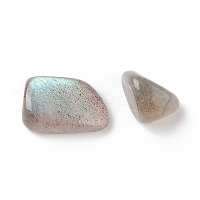 Natural Labradorite Beads G-I304-08-1