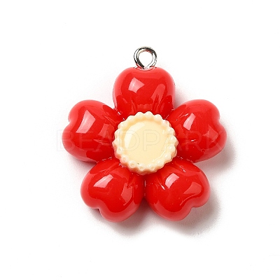 Resin Pendants LS-RESI-A038-03P-01-1