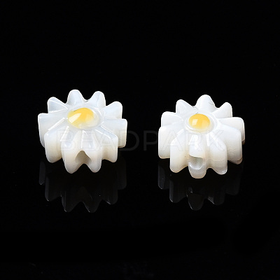 Natural Freshwater Shell Beads SHEL-N003-20A-01-1