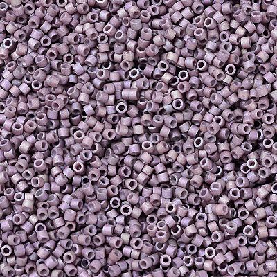MIYUKI Delica Beads X-SEED-J020-DB1064-1