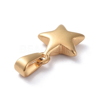 304 Stainless Steel Charms X-STAS-I127-067G-1