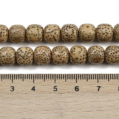 Natural Rudraksha Bodhi Seed Beads Strand WOOD-B010-A03-8x9mm-1