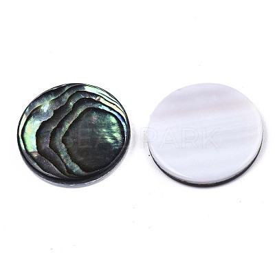 Natural Abalone Shell/Paua Shell Cabochons SSHEL-N034-72C-01-1