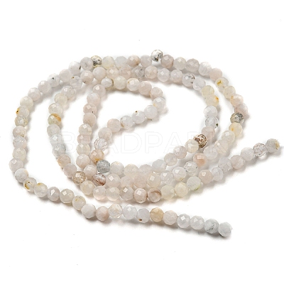 Natural Rainbow Moonstone Beads Strands G-A097-A02-03-1