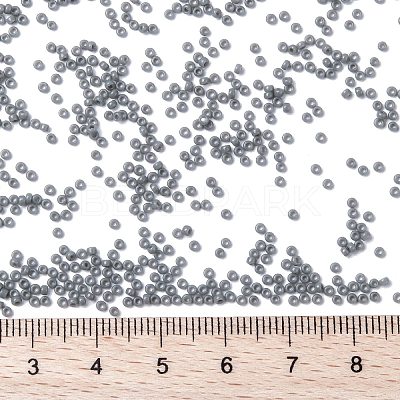 MIYUKI Round Rocailles Beads X-SEED-G009-RR0499-1