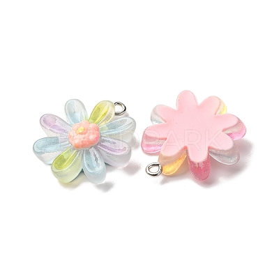 Transparent Resin Pendants RESI-A046-05C-1