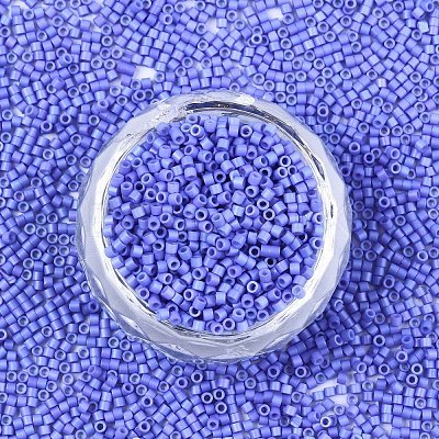 FGB 11/0 Grade A Glass Seed Beads SEED-S030-1010-1