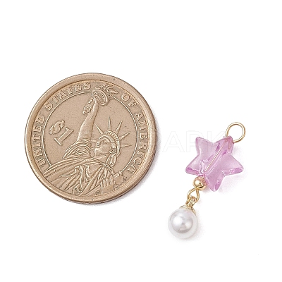 Transparent Acrylic Pendants PALLOY-JF04765-1