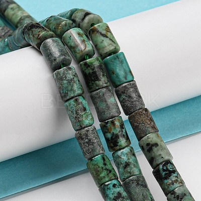 Natural African Turquoise(Jasper) Beads Strands G-Q1008-A09-1