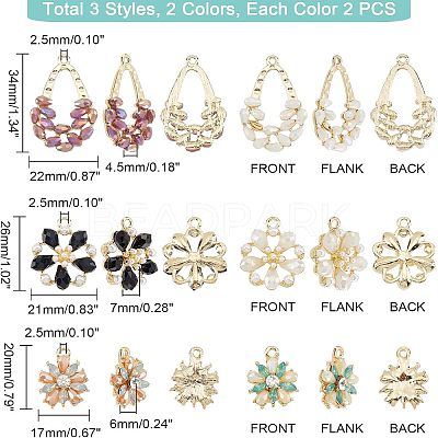 12Pcs 6 Style Plastic Pendants KY-FH0001-12-1