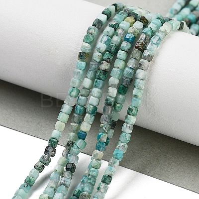 Natural Chrysocolla Beads Strands G-H042-B29-01-1