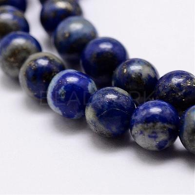 Natural Lapis Lazuli Beads Strands G-A163-07-12mm-1