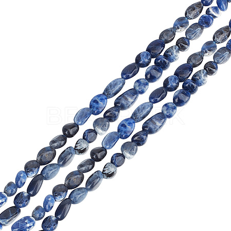 2 Strands Natural Sodalite Nuggets Beads Strands G-GO0001-43-1