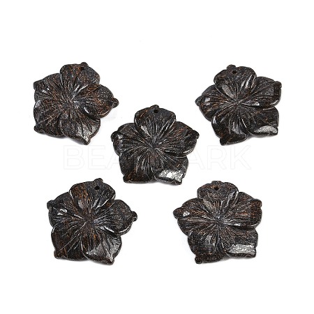 Natural Bronzite Carved Pendants G-B097-01A-12-1
