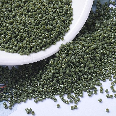 MIYUKI Delica Beads SEED-MY11-DB1135-1