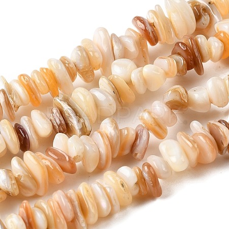Natural Shell Beads Strands BSHE-G029-01B-1