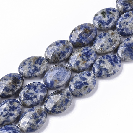 Natural Blue Spot Jasper Beads Strands X-G-S359-002-1