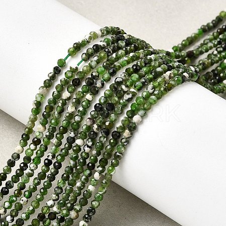 Natural Diopside Beads Strands G-G188-B14-04-1