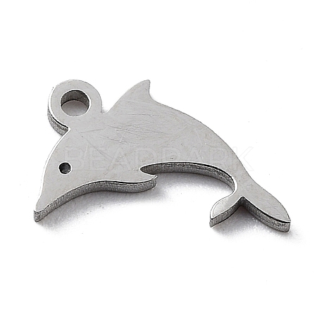 304 Stainless Steel Charms STAS-K272-01A-P-1