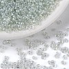 Round 12/0 Glass Seed Beads X-SEED-A006-2mm-101-1