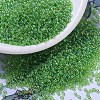 MIYUKI Round Rocailles Beads X-SEED-G007-RR0259-1